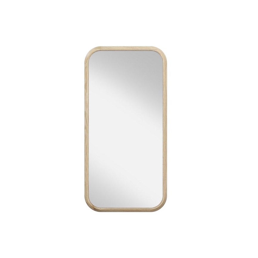 Зеркало прямоугольное 50*100 фото 1